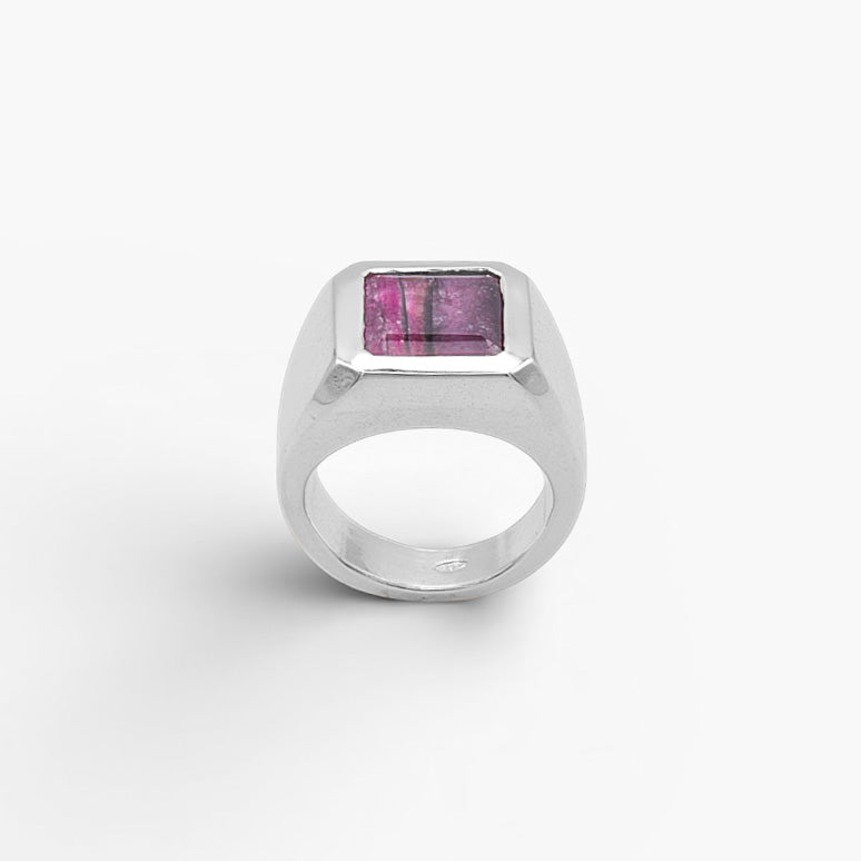 Anello Orion Nebula