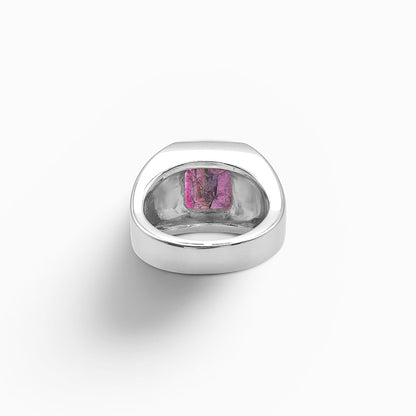 Anello Orion Nebula